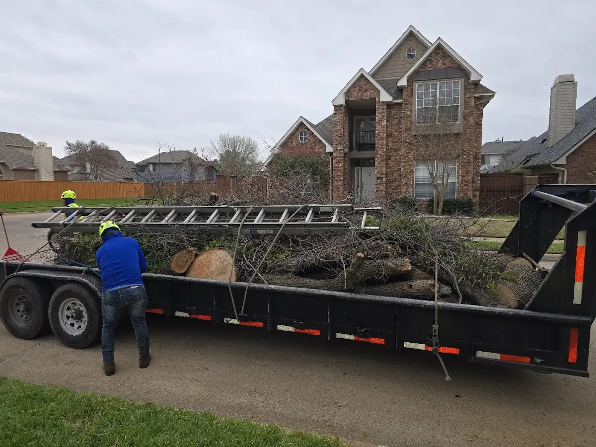 Expert Tree Fertilization with proper safety equipment in Ramah